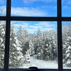 Meet your Posher, Camden